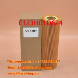 فلتر الزيت E123H01D624