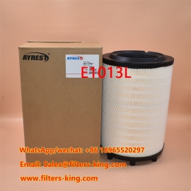 فلتر الهواء E1013L