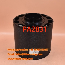 فلتر الهواء PA2831