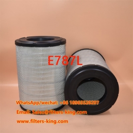 فلتر الهواء E787L