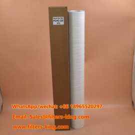 فلتر الغاز الطبيعي PCHG-336