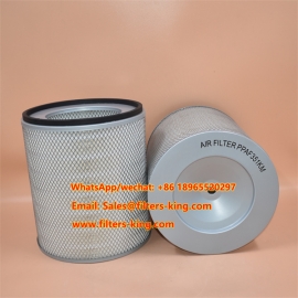 فلتر هواء P181000