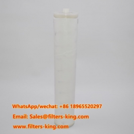 CSPHEW1-24BXH خرطوشة فلتر التجمّع