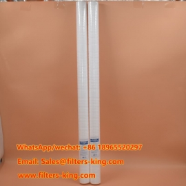 RT40B16G20CA مرشح رواسب PP